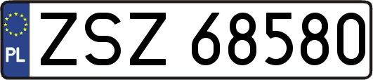 ZSZ68580