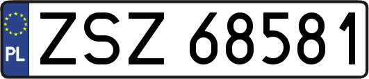 ZSZ68581