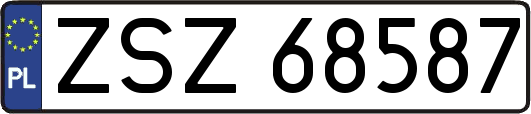 ZSZ68587