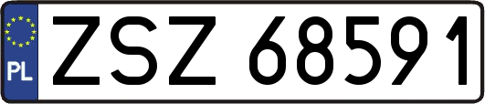 ZSZ68591