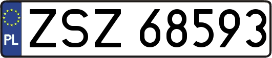 ZSZ68593