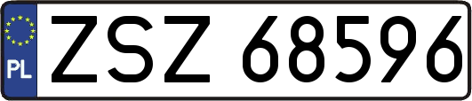 ZSZ68596