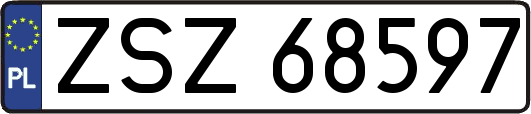 ZSZ68597