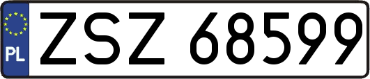 ZSZ68599