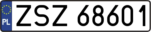 ZSZ68601