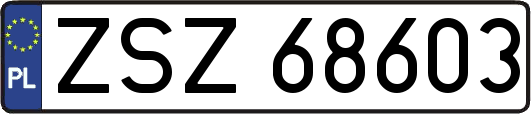 ZSZ68603