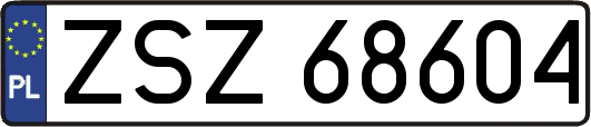 ZSZ68604