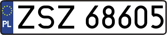 ZSZ68605