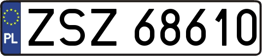 ZSZ68610