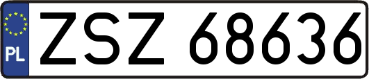 ZSZ68636