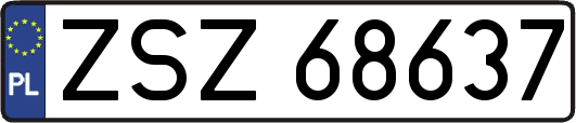 ZSZ68637