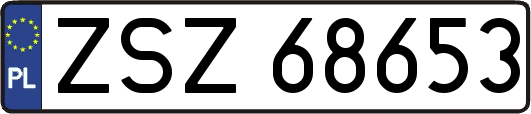 ZSZ68653