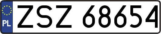 ZSZ68654