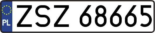 ZSZ68665