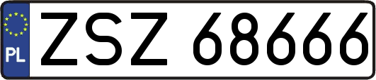 ZSZ68666