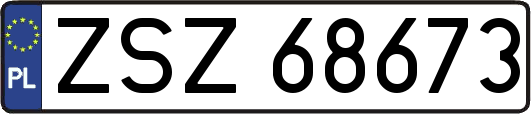 ZSZ68673