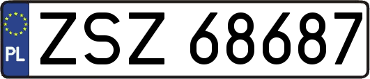 ZSZ68687
