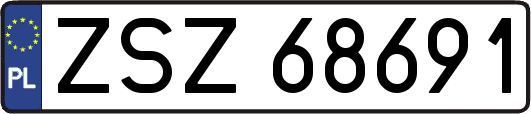 ZSZ68691