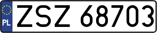 ZSZ68703