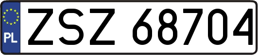 ZSZ68704