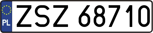 ZSZ68710