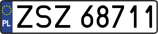 ZSZ68711