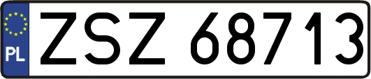 ZSZ68713