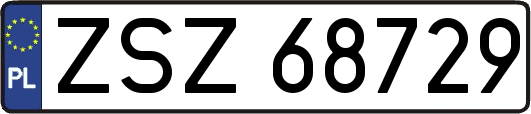 ZSZ68729