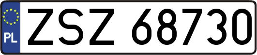 ZSZ68730
