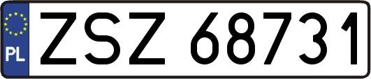 ZSZ68731
