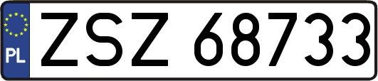 ZSZ68733