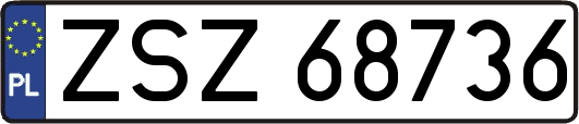 ZSZ68736
