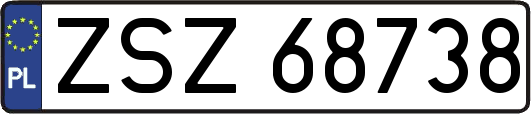 ZSZ68738