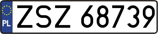 ZSZ68739