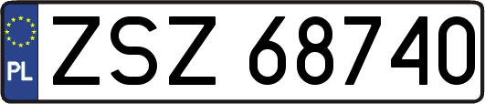 ZSZ68740