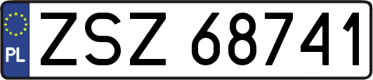 ZSZ68741