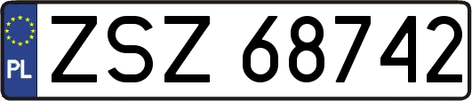 ZSZ68742