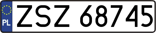 ZSZ68745