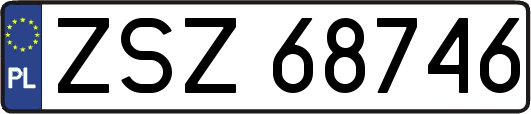 ZSZ68746