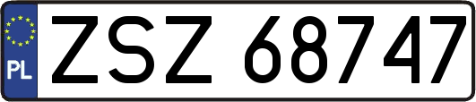 ZSZ68747
