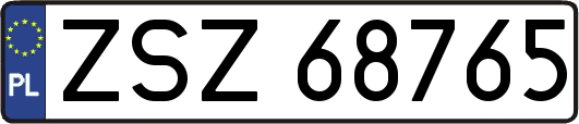 ZSZ68765