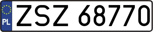 ZSZ68770