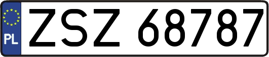 ZSZ68787