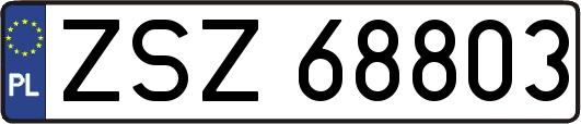 ZSZ68803
