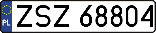 ZSZ68804