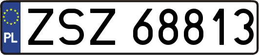 ZSZ68813