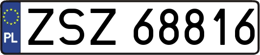 ZSZ68816