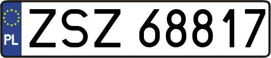 ZSZ68817