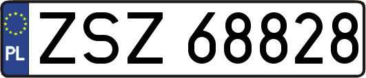 ZSZ68828