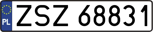 ZSZ68831
